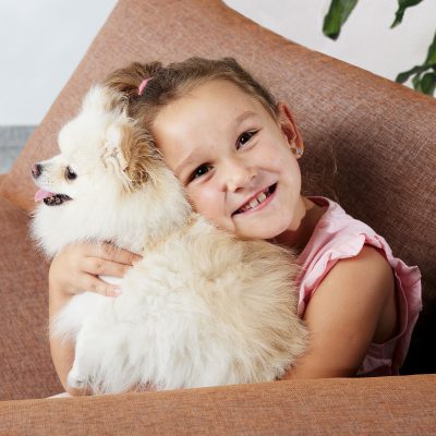 Tkaniny obiciowe PET FRIENDLY – twoja odpowiedź na zwierzęcą apokalipsę