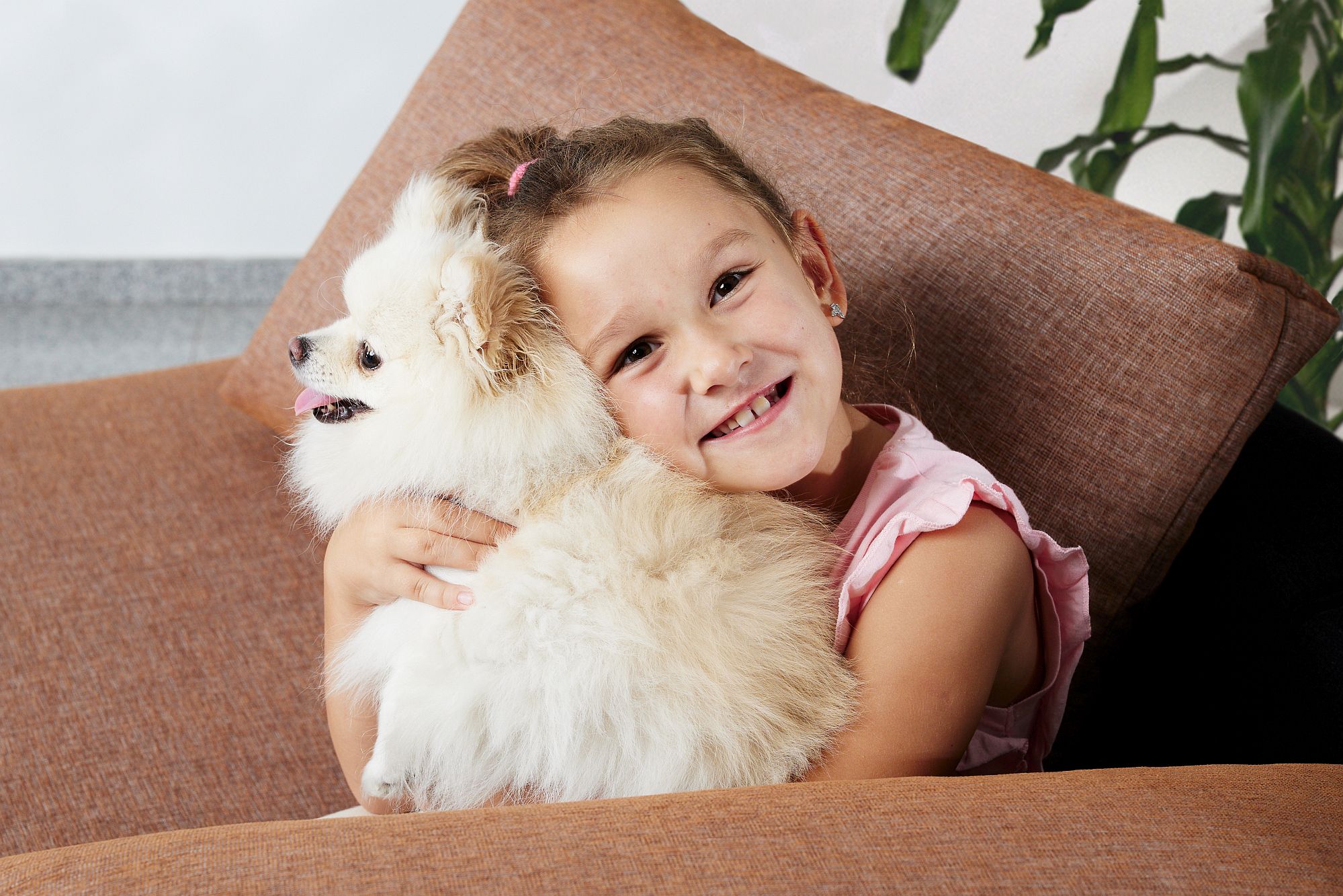Tkaniny obiciowe PET FRIENDLY – twoja odpowiedź na zwierzęcą apokalipsę